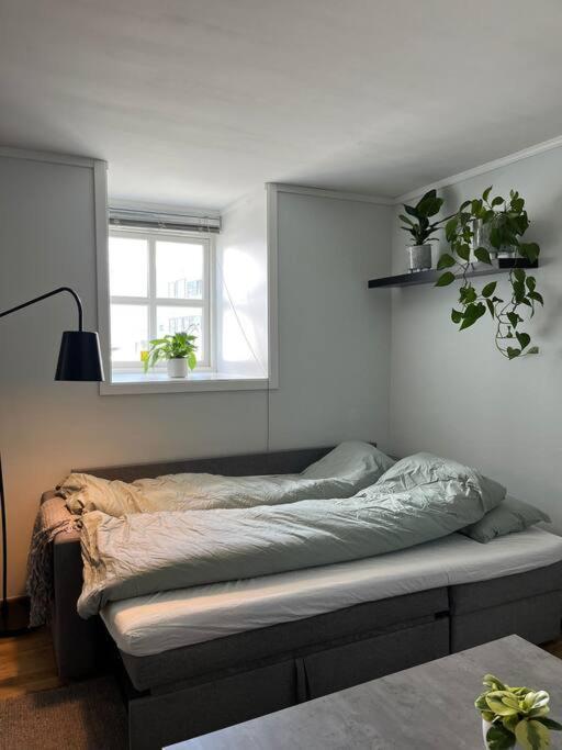 Cozy Ground Floor Apartment Tromsø Buitenkant foto
