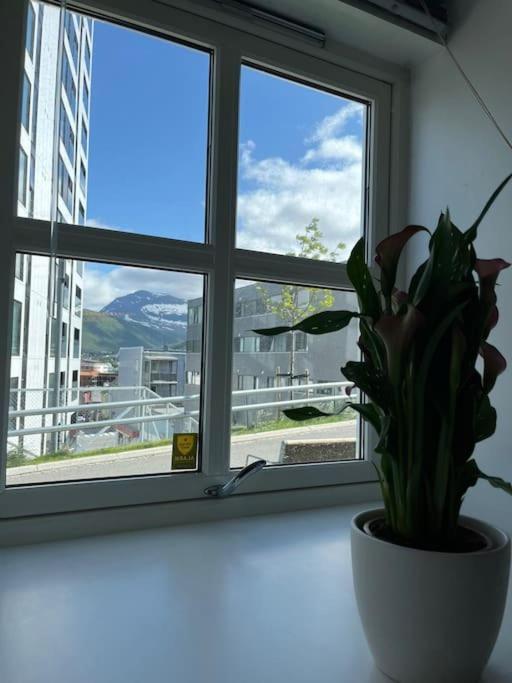 Cozy Ground Floor Apartment Tromsø Buitenkant foto