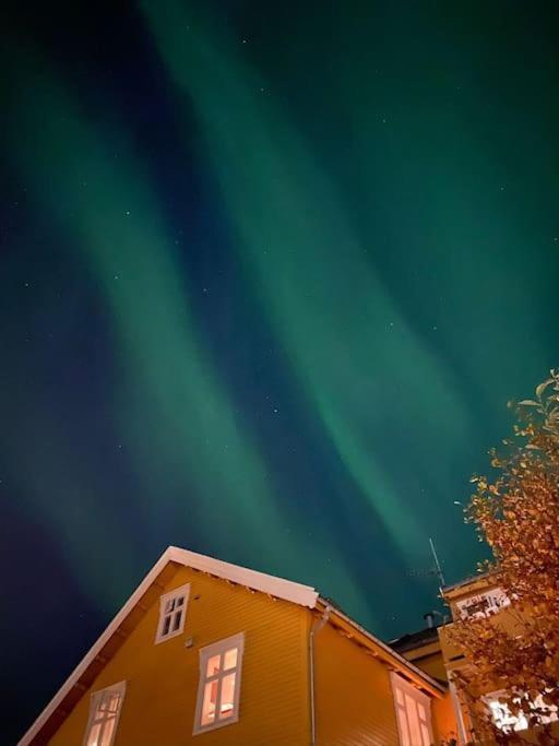 Cozy Ground Floor Apartment Tromsø Buitenkant foto