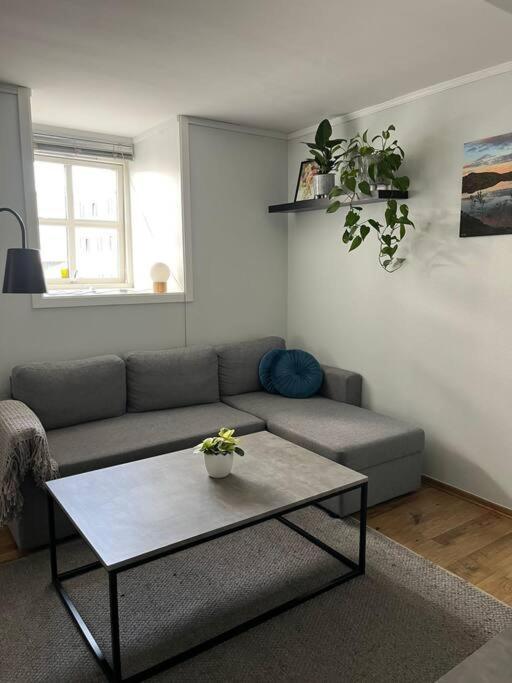 Cozy Ground Floor Apartment Tromsø Buitenkant foto