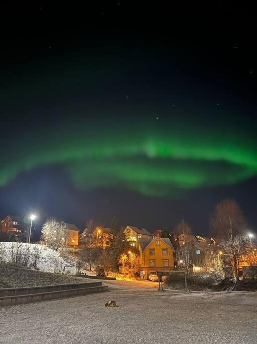 Cozy Ground Floor Apartment Tromsø Buitenkant foto